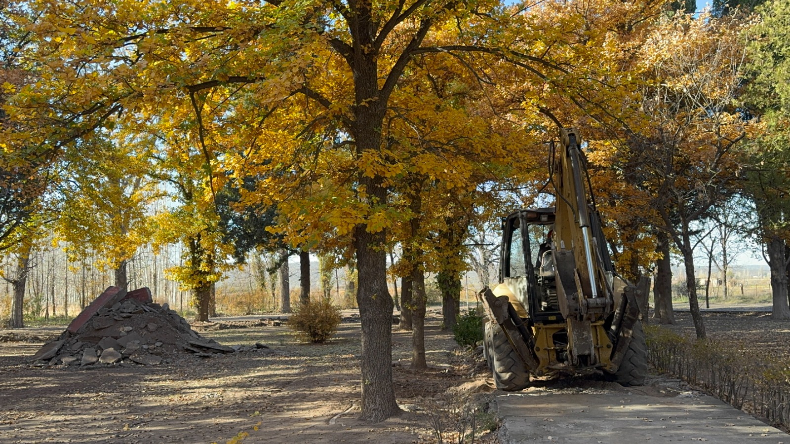 Imagen de la tarjeta